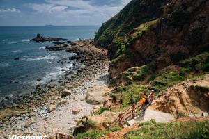 嘉莱省归仁东坊奇窝景点。