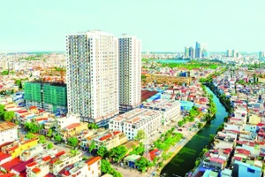从高处俯瞰海防市的一角。