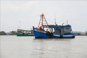 越南海警第二区强化执法与宣传 严厉打击IUU捕捞。（图片来源：越通社）