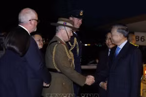 越共中央总书记、国家主席苏林抵达悉尼，开始对澳大利亚进行国事访问。（图片来源：越通社）
