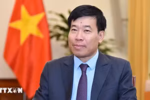越共中央委员、外交部党委常务副书记、外交部副部长阮孟强。（图片来源：越通社）