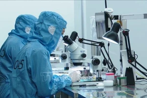 位于安平工业园区的越南舜宇光学技术有限公司正在进行摄像头生产。（图片来源：越通社）