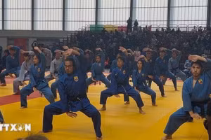 越武道表演节目。（图片来源：越通社）