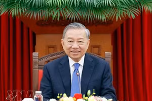 越共中央总书记、国家主席苏林。