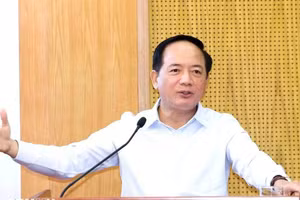 越共中央政治局委员、中央书记处书记、中央宣教与民运部部长郑文决在会议上发表讲话。（图片来源：越通社）