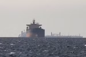 在霍尔木兹海峡运输的船只。（图片来源：新华社/越通社）