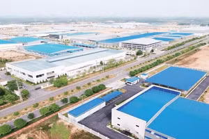 芹苴市新富盛工业园区。