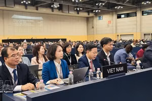 越南外交部副部长吴黎文出席第48届联合国教科文组织世界遗产委员会会议。（图片来源：越通社）
