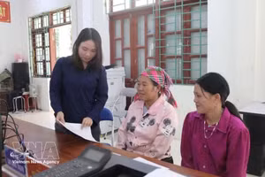 高平省芹安乡公共行政服务中心的人员指导居民办理行政手续。（图片来源：越通社）