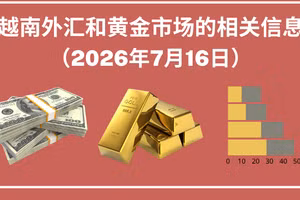 越南外汇和黄金市场的相关信息【图表新闻】