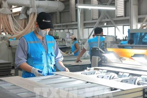 位于广安东梅工业园的Lioncore Vietnam Industrial公司的生产厂。（图片来源：越通社）