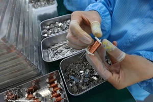 附图。（图片来源：越通社）