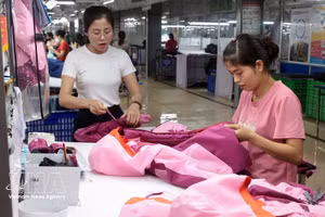 附图。（图片来源：越通社）