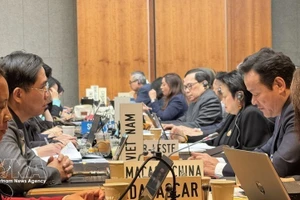 越南出席世贸组织2026年度第一次例会。（图片来源：越通社）