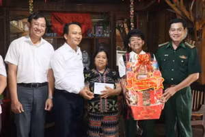 岘港市委常务副书记阮廷永率领的岘港市委工作组走访雄山边境乡优抚家庭。（图片来源：越通社）