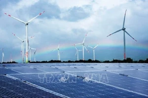 附图。（图片来源：越通社）