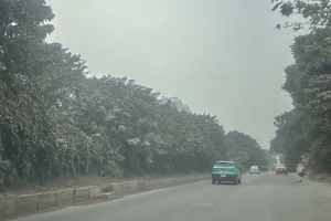 空气污染给河内民众生活带来严重影响。