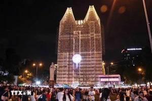 西贡圣母圣殿主教座堂在璀璨的灯光映照下格外迷人。（图片来源：越通社）
