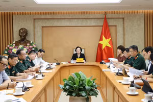 越共中央书记处书记、政府副总理、国家烈士遗骸搜寻、归集和身份确认工作指导委员会（国家515指导委员会）主任范氏清茶主持会议。（图片来源：政府网）