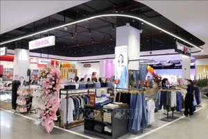 附图。（图片来源：越通社）