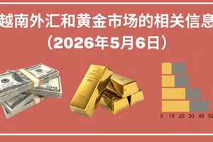 越南外汇和黄金市场的相关信息【图表新闻】