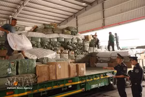 谅山省友谊国际口岸海关力量对进口车辆及货物实施监管。（图片来源：越通社）