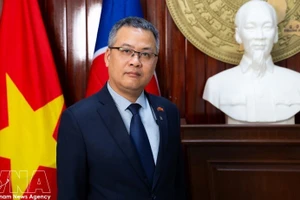 越南驻安哥拉特命全权大使杨政职。（图片来源：越通社）