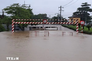 顺化市多处道路中断。（图片来源：越通社）