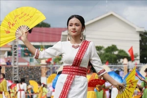 卡特节于10月20日下午在庆和省福友乡友德村体育场正式开幕。（图片来源：越通社）