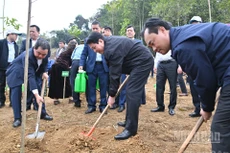 梁强主席与各位代表植树。