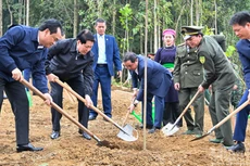 越南国家主席梁强出席“世世代代铭记胡志明主席功勋”植树节【组图】