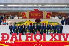 越南驻法国大使郑德海与出席越共十四大代表合影。（图片来源：越通社）