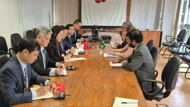 中央战略政策委员会副主任阮德显与巴西外交部的巴西合作署举行会谈。（图片来源：越通社）