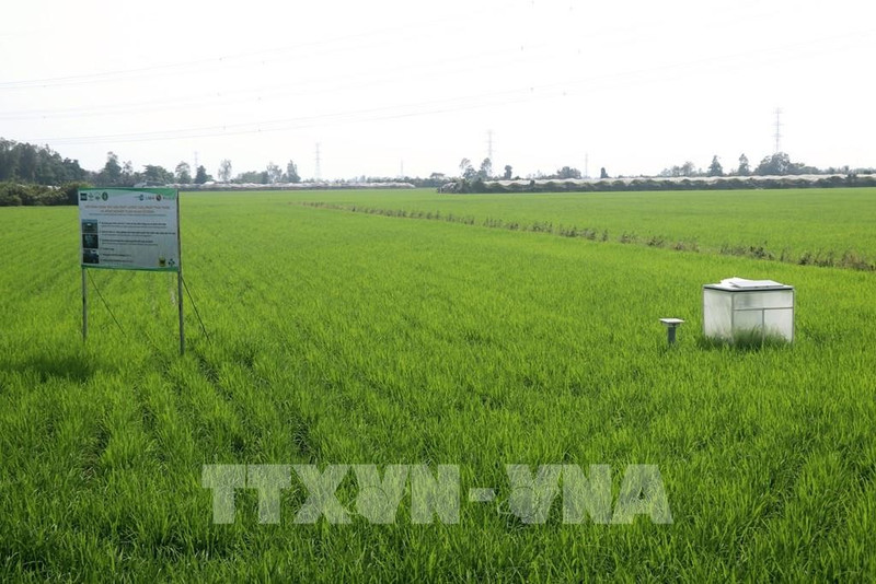 附图。