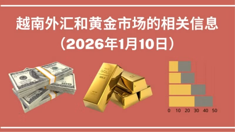 越南外汇和黄金市场的相关信息【图表新闻】