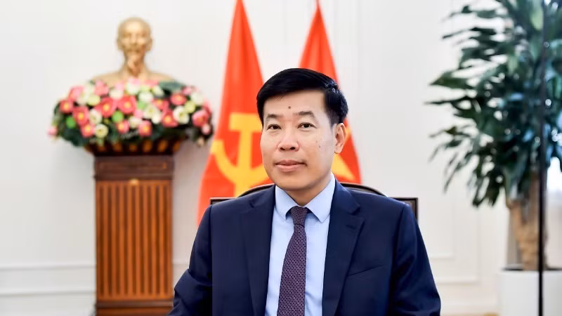 越共中央委员、外交部党委常务副书记、外交部副部长阮孟强。