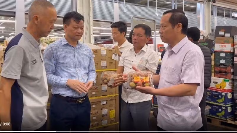 运抵法国后对荔枝质量进行检查。