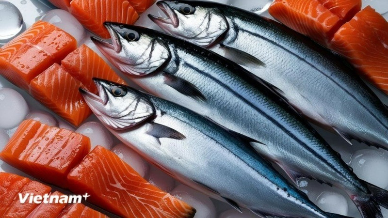 附图：越南是挪威三文鱼出口增长最快的东南亚市场。（图片来源：越通社）