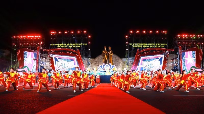 2026年第九届越南传统武术国际节开幕式8月2日晚在归仁坊阮必成广场举行。（图片来源：越南人民报网）