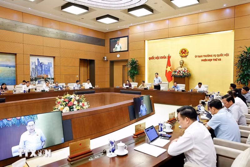 越南国会主席陈青敏在国会常务委员会第48次会议闭幕式上发表讲话。（图片来源：越通社）