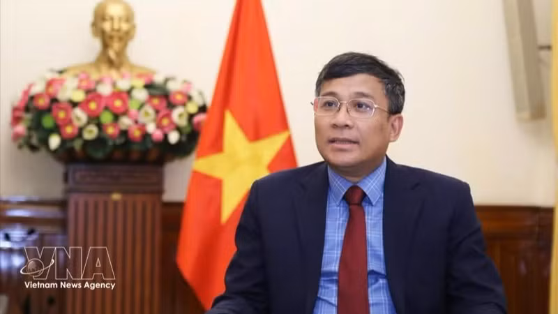 越共中央委员、外交部党委副书记兼外交部副部长阮明宇。（图片来源：越通社）