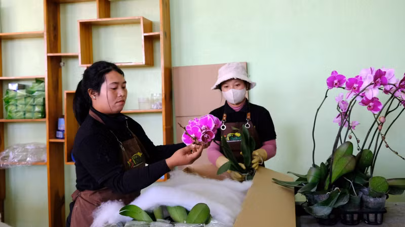 为少数民族同胞创造工作岗位。