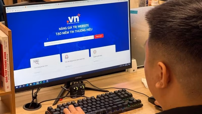 附图。（图片来源：越通社）