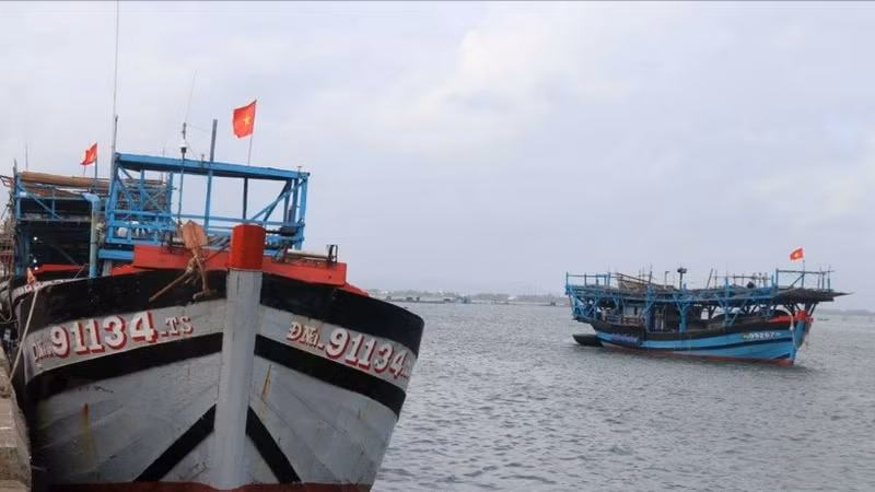 附图：岘港市推进船队结构重组，减少近海作业渔船数量。（图片来源：越通社）