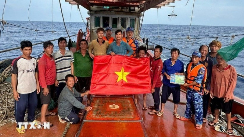 胡志明市全力以赴解除IUU"黄牌"警告。（图片来源：越通社）