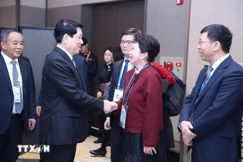 越南国家主席梁强会见中国美宝国际集团创始人李莉。(图片来源:越通社)