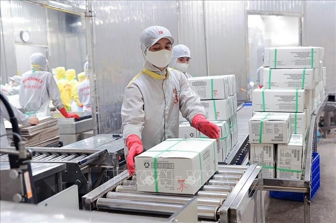 清化水产品进出口股份公司白贝出口包装中。（图片来源：越通社）