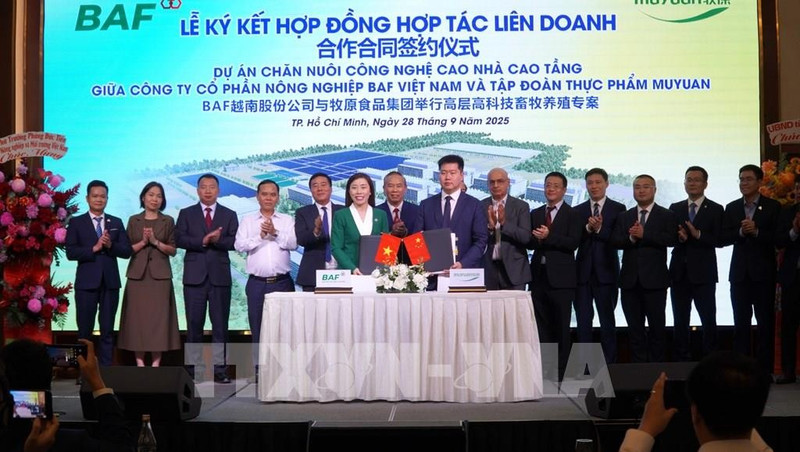 越南BAF农业股份公司与中国牧原食品集团合作合同签约仪式。（图片来源：越通社）