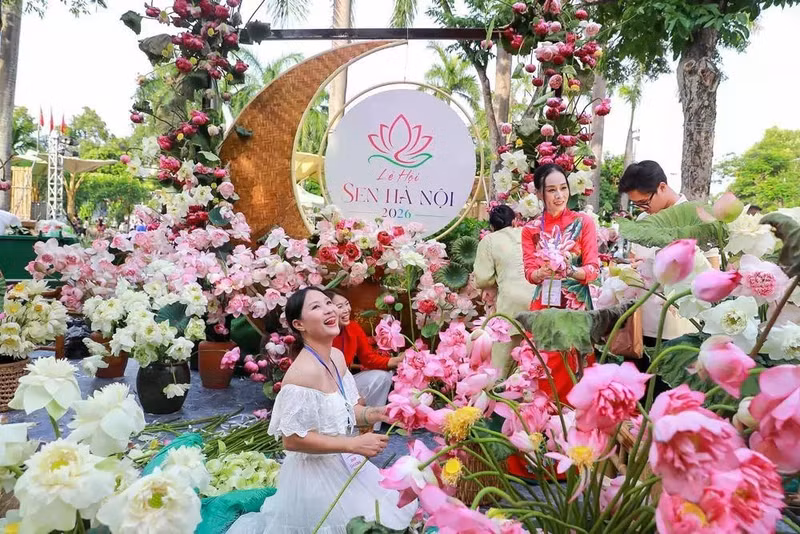 2026年河内莲花节。
