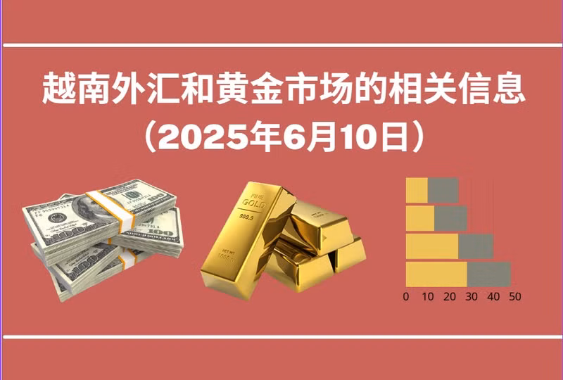 越南外汇和黄金市场的相关信息【图表新闻】